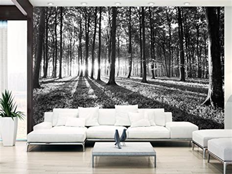 Murando Fototapete Waldlandschaft 400x280 Cm Vlies Tapeten Wandtapete