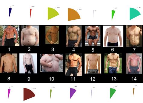 Body Types Men Chart