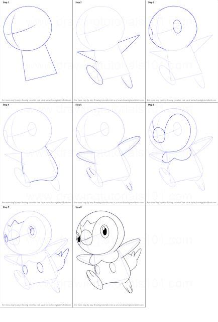 Guia Practica Para Dibujar El Pokemon Piplot Y Otros Pokemons Aqui Te