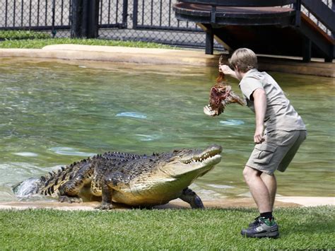 Robert Irwin Celebrates Birthday At Australia Zoo Au