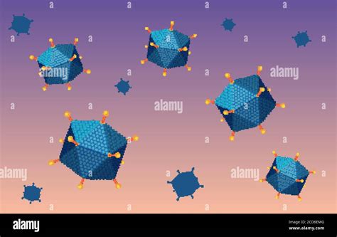 Adenovirus Structure Diagram On White Background Illustration Stock