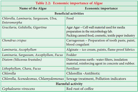 Algae Classification and its Importance – NCERT MCQ