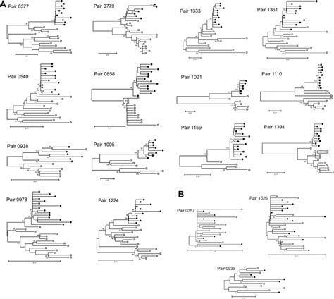 Unrooted Neighbor Joining Trees Of Hiv 1 Env Gp120 Nucleotide Sequences