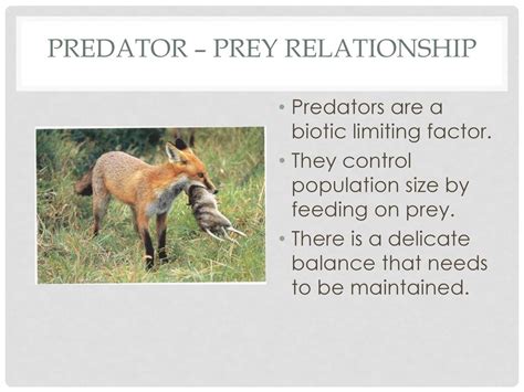 Introduction To Ecology Ppt Download