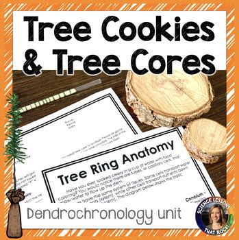 Dendrochronology Lesson and Lab by Science Lessons That Rock | TPT