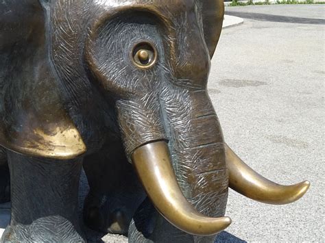 Wien Elefanten Skulptur Von Gottfried Kumpf Vor Dem Naturhistorischen