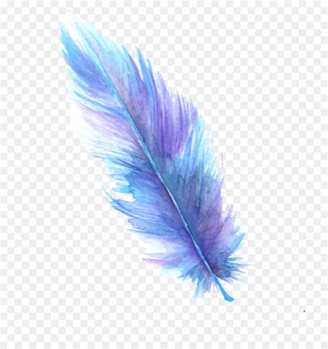 Feather Euclidean vector - feather png download - 1000*1000 - Free ...