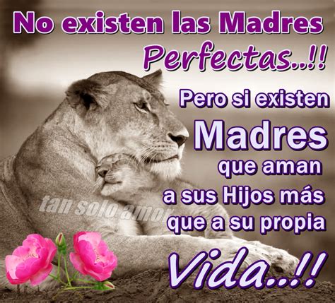 Tan Solo Amor No Existen Las Madres Perfectas Pero Si Existen Madres