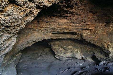 Bats Texas Bracken Cave at Donald Lyman blog