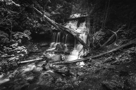 Edit Like Ansel Adams: Black & White in Lightroom - Run N Gun Photography