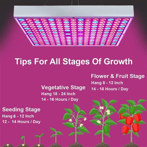 Luces Led De Cultivo Para Plantas De Interior Paquete Unidades