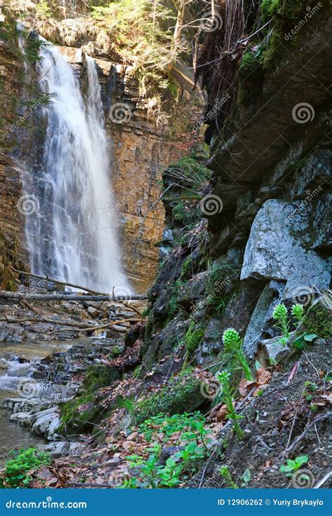 Waterfall And Brook In Mountain Forest Ravine Stock Photo Image Of