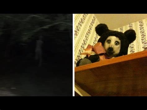 Teddy Creepypasta