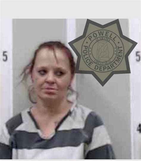 Nude Felony Assault On A Police Officer North Jackson Press