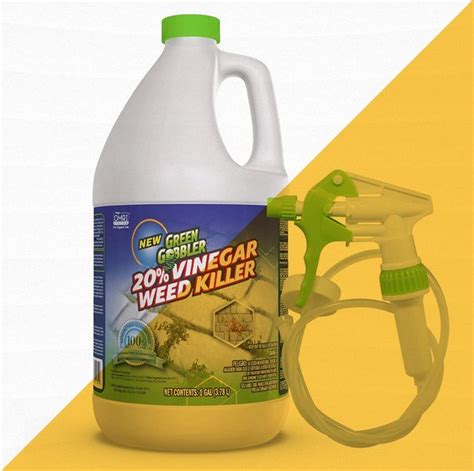 10 Best Weed Killers In 2022