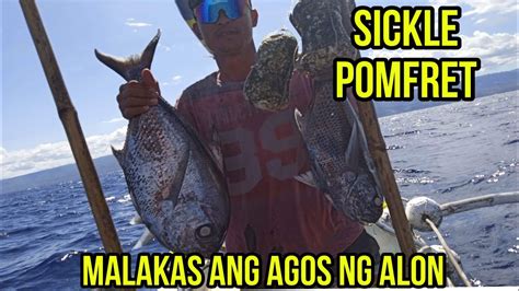 BAWI LAMANG TAYO AT MALAKAS ANG AGOS NG ALON MALAKING SICKLE POMFRET