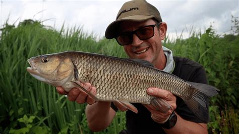 Chub And Barbel Fishing On Small Rivers Life On The Bank