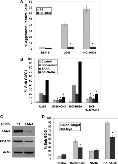 Blocking Protein Synthesis Impairs Bortezomib Induced Aggresome Download Scientific Diagram