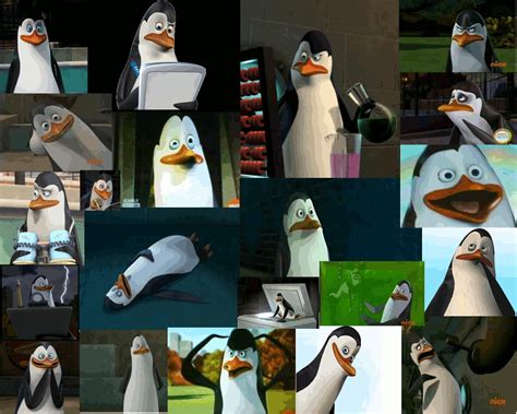 Kowalski The Penguin Wallpaper Kowalski Wallpaper 26859243 Fanpop