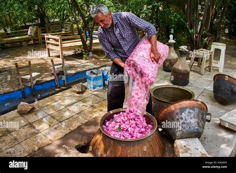 Iran Isfahan Province Kashan City Distillation Of Rose For The