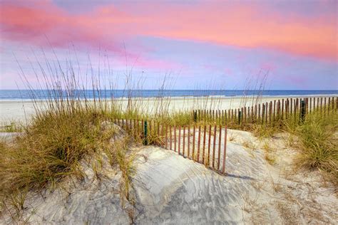 Beach Dune Fence