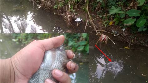 Walaupun Mancing Hari Ini Pindah Spot Tetapi Alhamdulillah Strike Ikan