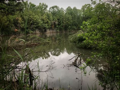 Less-traveled Hudson Valley hikes for those who don’t like crowds