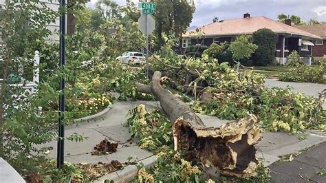 High Winds Knock Out Power To Thousands Force Schools To Close Down