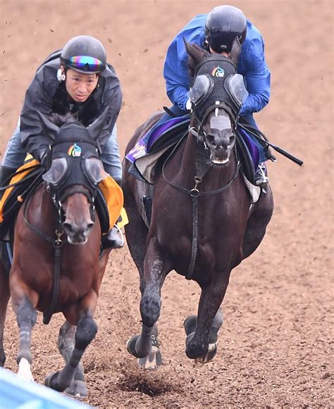 【毎日王冠】ソングライン 貫禄の最先着 叩き台以上の出来に 戸崎圭「春のg1・2連勝よりいい」 競馬ニュース Netkeiba