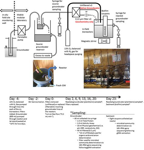 Experimental Design Schematic Representation And Description Of The