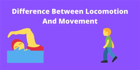 Locomotor And Non Locomotor Movements Ppt