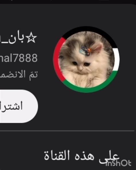 تقييم افتار المتابعين🎀 Youtube