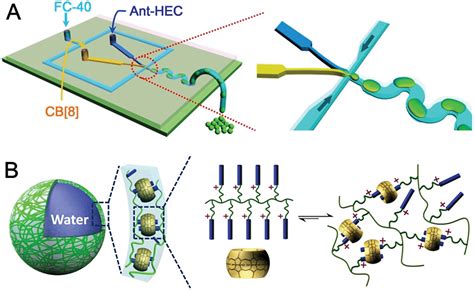 Supramolecular Hydrogel Microcapsules Via Cucurbit 8 Uril Hostguest