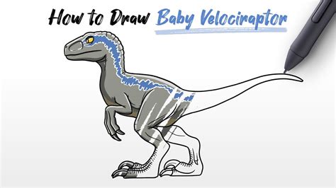 How To Draw Beta Baby Velociraptor Blue Raptor Dinosaur From Jurassic