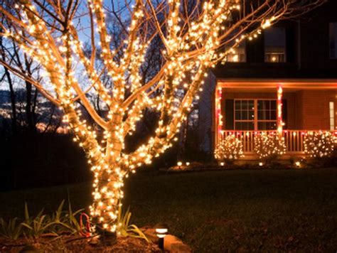 Christmas outdoor net lights - make your evenings fun, classic and remarkable - Warisan Lighting