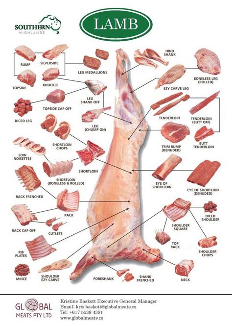 Lamb Meat Cuts Chart