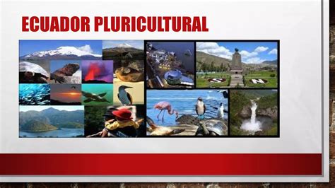 Ecuador Es Parte De Un Mundo Megadiverso Y Pluricultural Ppt