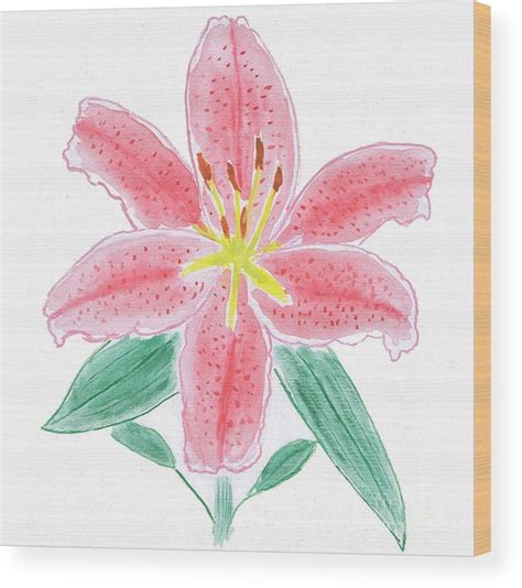 Watercolor Stargazer Lily at PaintingValley.com | Explore collection of ...