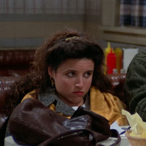 Elaine Benes The Iconic Seinfeld Character