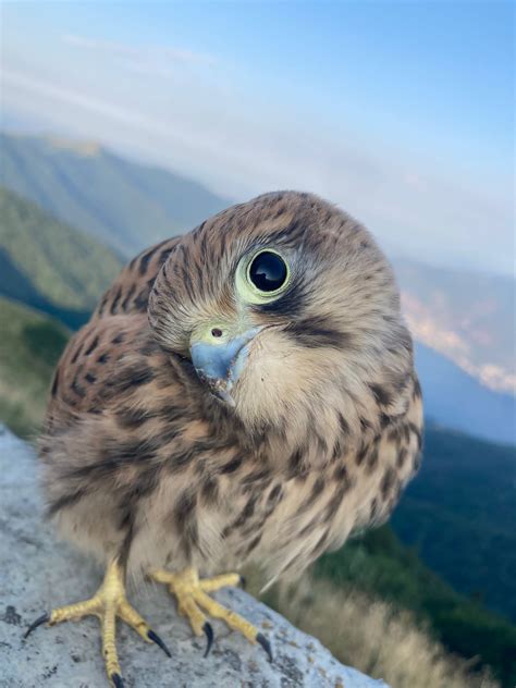 Best Hiking Images On Pholder Earth Porn Hiking And Corgi