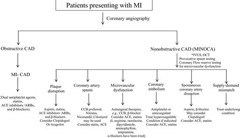 Myocardial Infarction With Nonobstructive Coronary Arteries A Call For