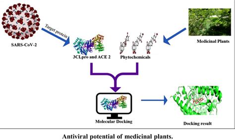 Antiviral Potential Of Medicinal Plants For The Covid Bentham Science