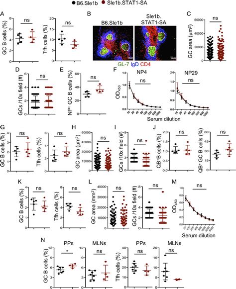 Stat Ps Deficiency Does Not Alter Immune Response To T