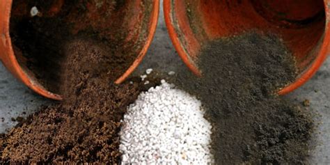 How to make your own Potting Soil | Potting mix Recipe