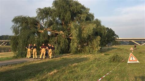 Unwetter L Sst Baum In Radeberger Vorstadt Umst Rzen Autos Besch Digt