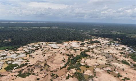 Amazônia perdeu um Equador em área verde apenas neste século Jornal O