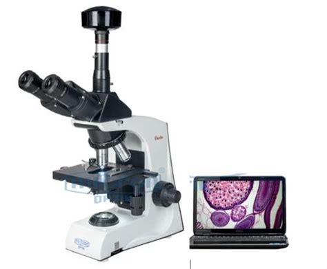 Digital Microscope LCD Displays Make Micron Optik at Rs 30000/piece in ...