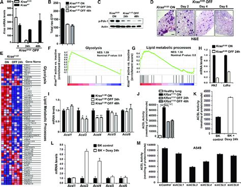 Mutant Kras Regulates Acsl3 And Acsl4 In Lung Cancer Cells Both In