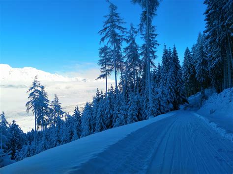 Aktuelle Verh Ltnisse Rodeln Rinner Alm Berichte Zu Berg