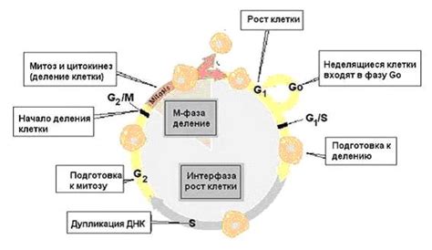 Студопедия — Практическая работа. 1. Дайте определение понятию ...